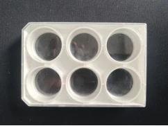 Sistema di coltura cellulare dinamica su membrana elastica a sollecitazione e deformazione uniformi
