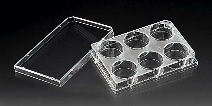 Sistema di coltura cellulare dinamica su membrana elastica a sollecitazione e deformazione uniformi