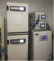 Sistema di coltura cellulare dinamica su membrana elastica a sollecitazione e deformazione uniformi