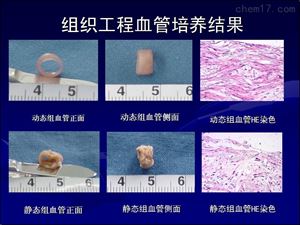BQ-2280组织工程血管体外搏动生物反应器