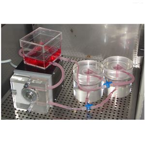BQ-3380组织工程灌流生物反应器